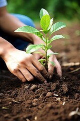 A hand planting a plant in a garden
