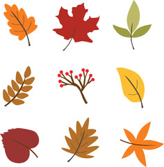 Obraz premium set of autumn leaves