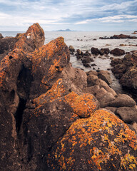 Orange lichen on rocks at Broughton Island in NSW