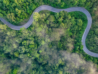Aerial top view of green forest and highway road. Drone view of green trees and morning fog. Green...