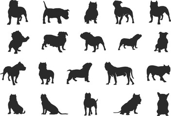 American bully dog silhouette, Bully dog silhouette, American bully svg, Bully dog clipart, Dog silhouette, American bully icon. - obrazy, fototapety, plakaty