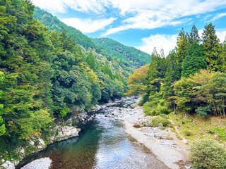 Fototapeta na wymiar 板取川の風景