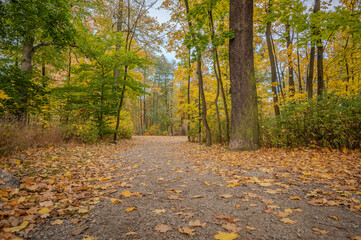 Obraz premium Herbst in Gmünd