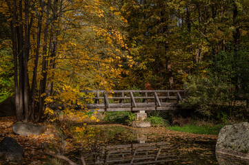 Herbst in Gm&uuml;nd
