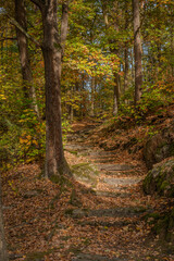 Fototapeta premium Herbst in Gmünd
