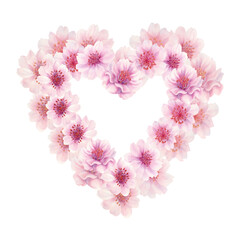Watercolor pink heart drawn from cherry blossom flowers