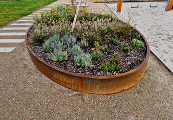 the oval ellipse of the flower bed is lined with a rusty sheet metal border. perennials are...
