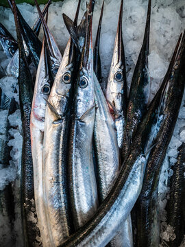 Raw garfish fish in grocery
