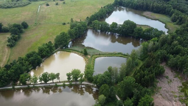 Farm ponds used for fish farming. Bird habitat. Drone.