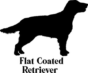 Flat Coated Retriever Dog silhouette dog breeds logo dog monogram logo dog face vector
SVG PNG EPS