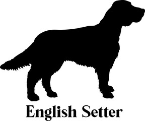 English Setter. Dog silhouette dog breeds logo dog monogram logo dog face vector
SVG PNG EPS