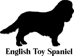 English Toy Spaniel Dog silhouette dog breeds logo dog monogram logo dog face vector
SVG PNG EPS