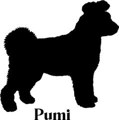 Pumi Dog silhouette dog breeds logo dog monogram logo dog face vector
SVG PNG EPS