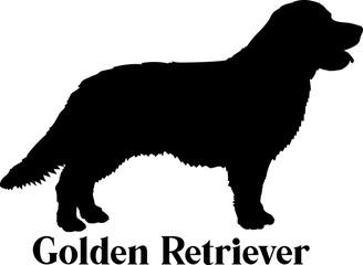 Golden Retriever Dog silhouette dog breeds logo dog monogram logo dog face vector
SVG PNG EPS