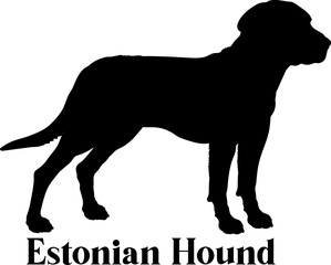 Estonian Hound Dog silhouette dog breeds logo dog monogram logo dog face vector
SVG PNG EPS