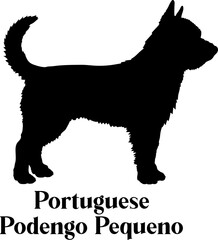 Portuguese Podengo Pequeno Dog silhouette dog breeds logo dog monogram logo dog face vector
SVG PNG EPS