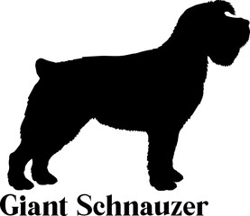 Giant Schnauzer. Dog silhouette dog breeds logo dog monogram logo dog face vector
SVG PNG EPS