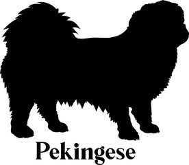 Pekingese Dog silhouette dog breeds logo dog monogram logo dog face vector
SVG PNG EPS