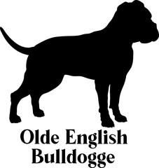 Olde English Bulldogge Dog silhouette dog breeds logo dog monogram logo dog face vector
SVG PNG EPS