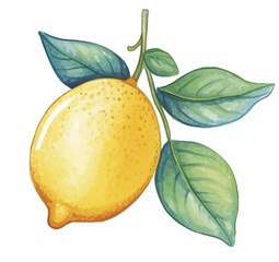 Lemon watercolor 