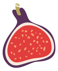Cutted fig icon. Half of healthy organic fruit