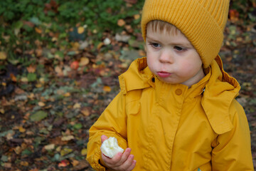 Cute toddler boy eating a ripe wild apple on a farm