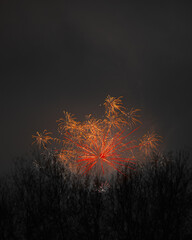 gold and red fireworks over trees