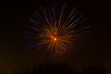 firework explosion over trees