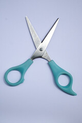 Scissors  for grooming dogs on white background, Open blades, Accessories for cut, trim about Dog, Cat, Animal care in beauty salon concept, Close up shot