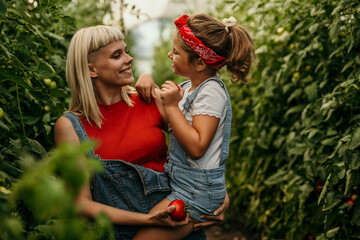 Obraz premium Mom and daughter picking tomatoes on their farm