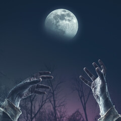 Naklejka na ściany i meble Zombie hands rising in the night