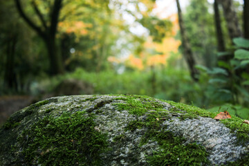 Natural stone podium with green moss and blurred background 