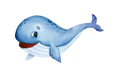 Foto auf Acrylglas Antireflex Watercolor whale isolated on white background. Hand drawn illustration © Эльнара