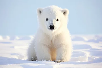 Tuinposter Polar bear cub outdoors © Veniamin Kraskov