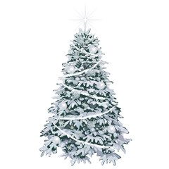 Christmas tree in snow