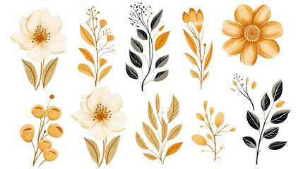 Set of floral elements. Romantic flower collection with flowers, leaves, herbs gold and black, png