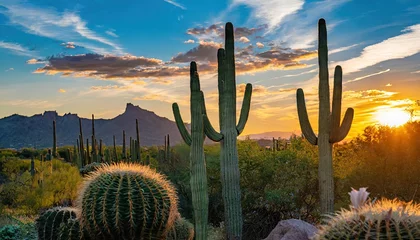 Wandaufkleber Arizona desert sunset © Brian