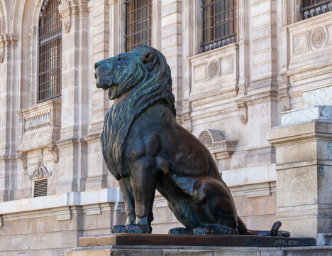 Oran, Algeria, 11 05 2023 : The famous bronze sculpture of a lion of the city hall of Oran, Algeria. Symbol of the town.