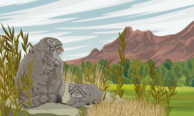 Pallas's cat and her kitten are sitting on a large stone in the valley with dry grass and bushes at the foot of the mountains. Wildlife of Asia. Realistic vector landscape