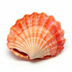 Sea Shell: A Beautiful Ocean Treasure on a Clean, Pure, and Serene Background