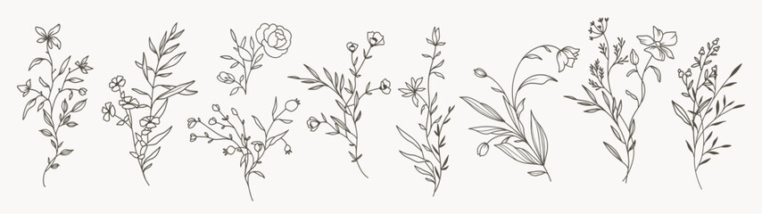 Minimal drawn floral botanical line art. Bouquets. Trendy elements of wild and garden plants, branches, leaves, flowers, herbs. Vector illustration for logo or tattoo, invitation, save the date, card - obrazy, fototapety, plakaty