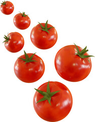 red tomatoes