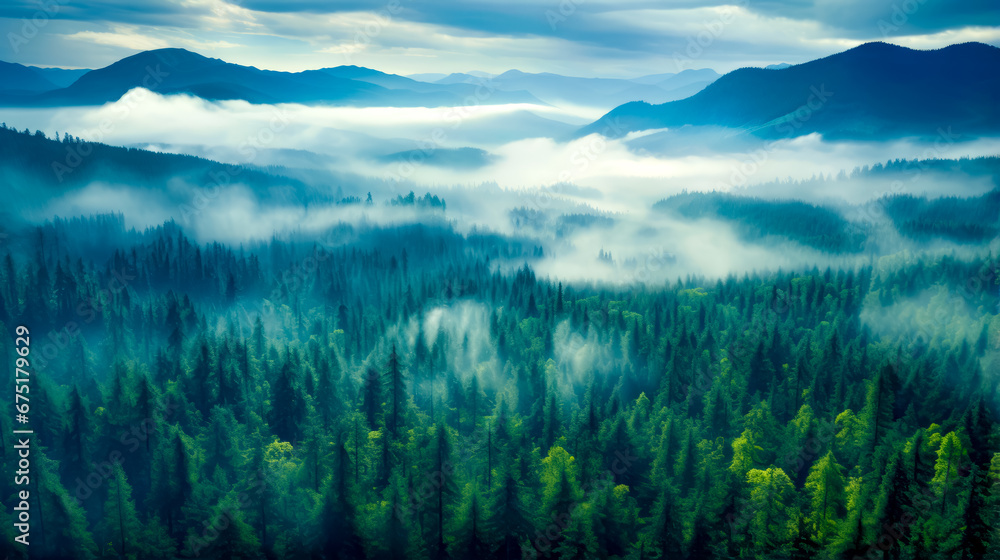 Aufkleber aerial view of forest covered in fog and low lying clouds in the distance.