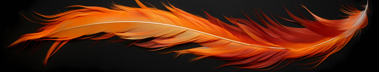 A fiery phoenix feather, each strand a gradient from ash gray to incandescent orange, curling with heat
