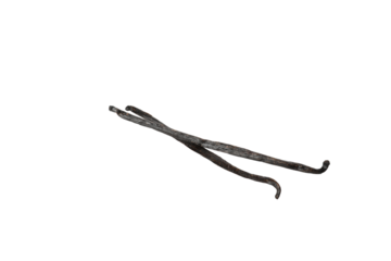 PNG,vanilla pod, isolated on white background