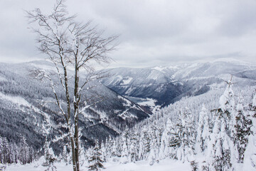 winter landscape in the mountains