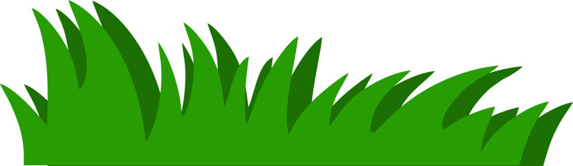 Grass Illustration