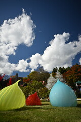 balloons in the sky © 圭介 坂本