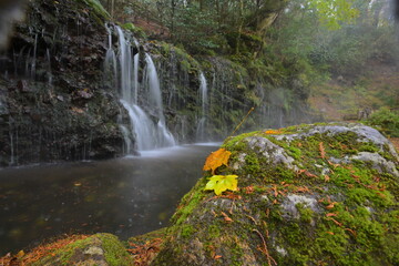 waterfall in the forest