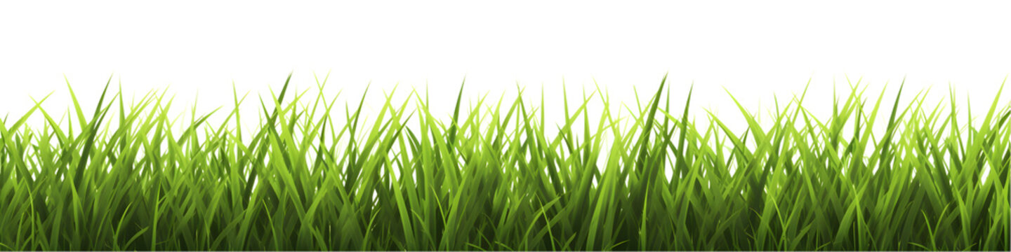 Green grass border set isolated on transparent background. 